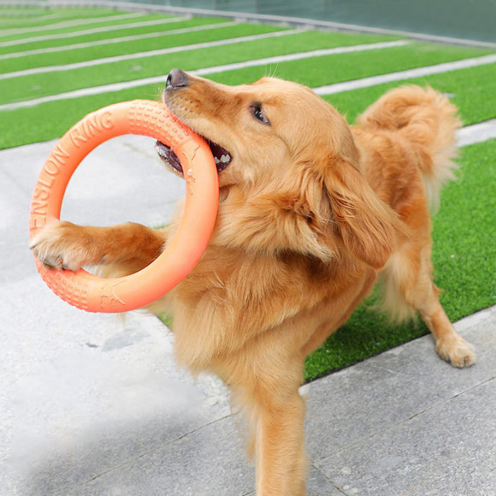 1pc orange Hundes pielzeug Hau – Indestructible Dog Chew Toy Bewertung und Preis