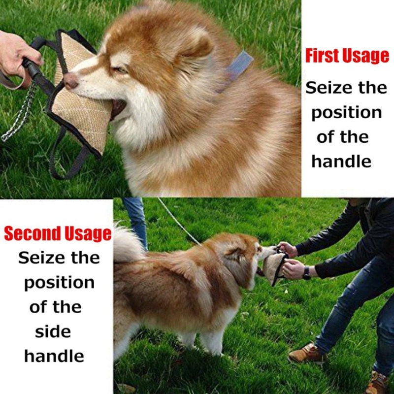 Langlebiges Hundetraining-Beiß – Interactive Squeaky Plush Dog Toy Bewertung und Preis