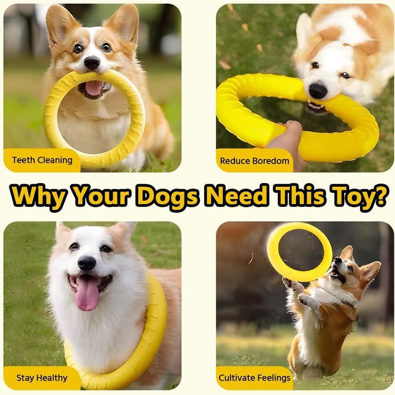 Hundespielzeug, fliegende Fris – Indestructible Dog Chew Toy Bewertung und Preis