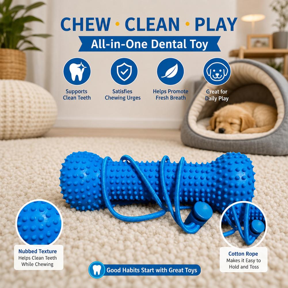Hundezahnungs-Zahnputzstift, P – Teeth Cleaning Dog Chew Bone Bewertung und Preis