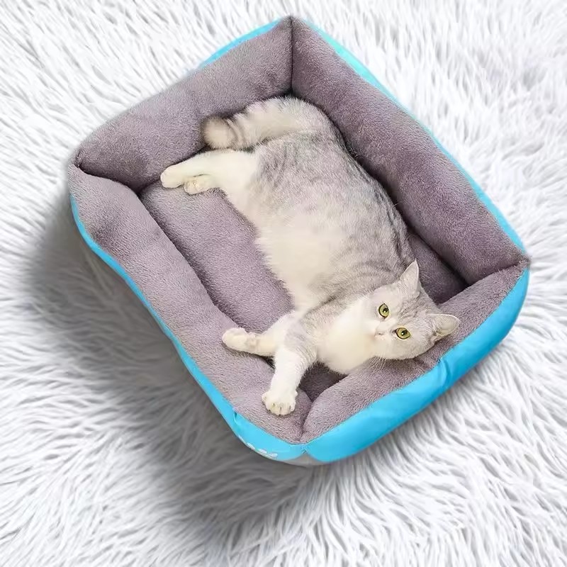 Weiches Plüsch-Kissenbett für  – Interactive Squeaky Plush Dog Toy Bewertung und Preis
