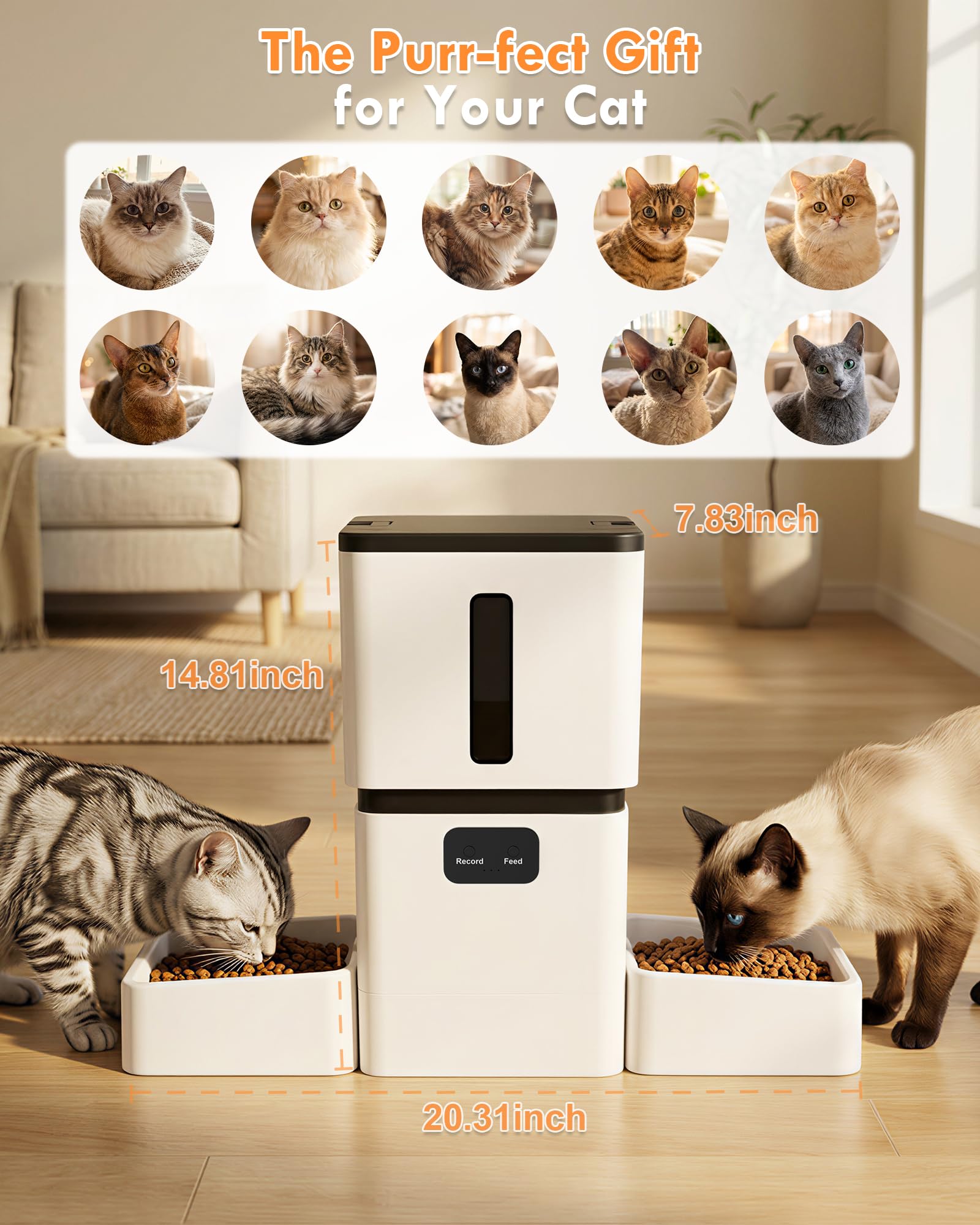 5GHz WiFi 8L Intelligenter Aut – Pet Feeders Bewertung und Preis